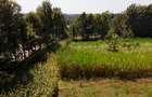 1 ac Land in Karen - 2