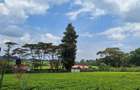 1 ac Residential Land at Tigoni - 4