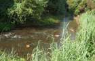 6.3 ac Land in Nyeri - 1