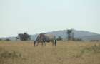 Land in Mombasa Road - 16