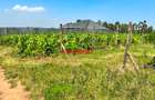0.05 ha Residential Land at Kamangu - 4