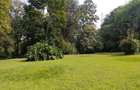 Land at Old Kitusuru Rd - 3