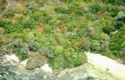 Land at Kuruwitu Beach Vipingo - 6