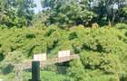 3 Bed Apartment at Two Rivers Mall - 4