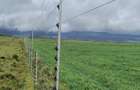 314 ac Land at Timau - 7