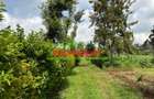 0.4 ha Land at Tilisi - 4
