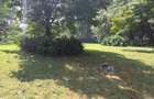 1.25 ac Land at Tate Close - 7
