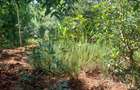 1.0 ac Land at Kandara Road - 9