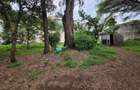 Land in Hurlingham - 6