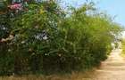 Land at Diani Beach Road - 8