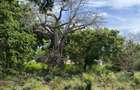 8,093.72 m² Land at Diani 3Rd Row Beach - 1