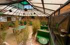 Commercial Property with Garden in Kikuyu Town - 9