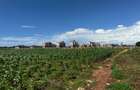 Land in Vipingo - 6