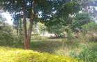 Residential Land at Runda Evergreen - 2
