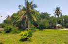Land at Kikambala Beach - 11