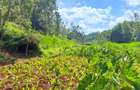 1 ac Land at Muchatha - 2