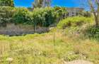 0.1 ha Residential Land at Taveta Road - 4
