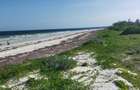 Land in Kilifi - 18