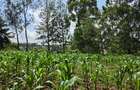 Land at Matasia - 2