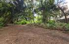Land in Hurlingham - 5