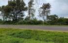 Commercial Land in Tigoni - 7