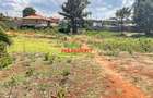 0.08 ha Commercial Land at Limuru - 11