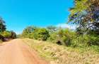 Land at Msambweni - 2