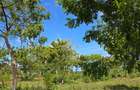 7 ac Land at Kikambala - 3