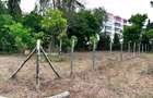 3,200 ft² Land at Mtwapa - 1