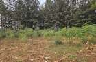 Land at Thindigua - 1