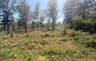500 m² Residential Land at Ruiru-Githunguri Road - 14