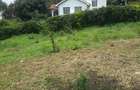 1 ac Land in Karen - 1