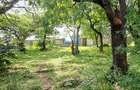 Land at Shanzu Serena - 16