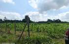 Land at Tigoni - 4