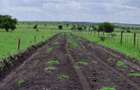 Residential Land at Plots For Sale In Kitengela Saitoti Farm/Ostrich Farm - 5