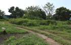 20 ac Land in Kikambala - 5