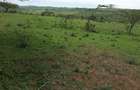 4 ac Residential Land in Kiserian - 4