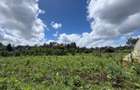 0.5 ac Residential Land in Karen - 4
