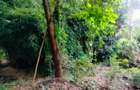 0.55 ac Land in Kilimani - 1
