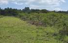 Land at Matasia - 5