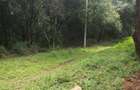 1.5 ac Land in Karen - 7