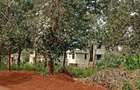 Land in Ruiru - 9