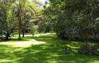 Land in Karen - 2