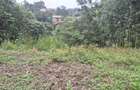 0.25 ac Land in Ruaka - 2