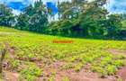 0.05 ha Residential Land at Gikambura - 2