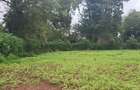 1 ac Land at Limuru Road Ack St Julian - 2