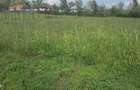 0.113 ac Residential Land in Ongata Rongai - 2