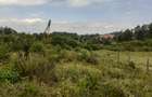 0.125 ac Land in Kikuyu Town - 13
