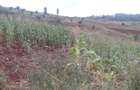 64,000 ft² Land at Kiambu Riabai - 16