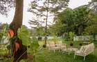Serviced 3 Bed Apartment with En Suite at Muthaiga Road - 20